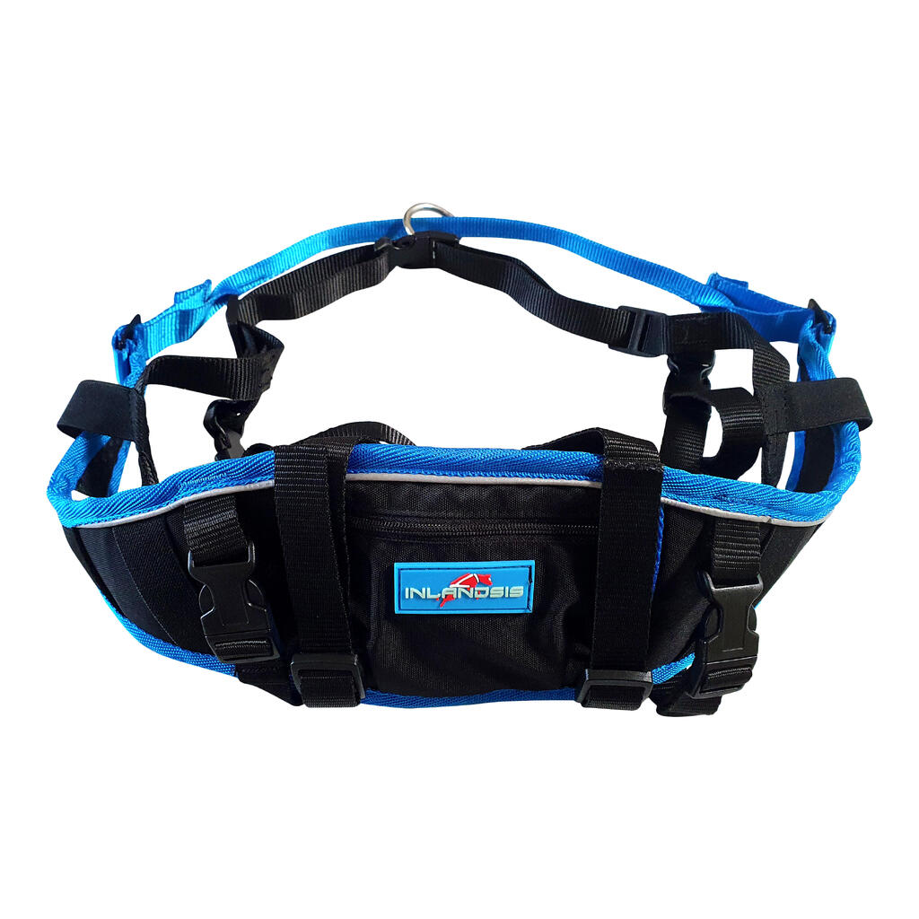 Canicross and dog trekking belt, Aircross blue and black