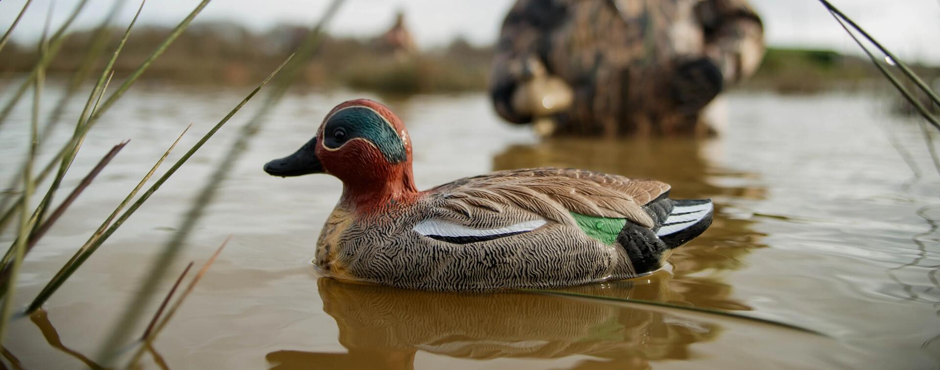 waterfowl hunting