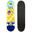 Skateboard Deck Kinder 3–7 Jahre CP100 MINI 7,25" Rainbow