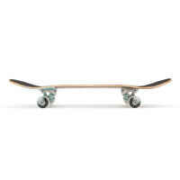 Kids' Skateboard 3-7 Years CP100 Mini Size 7.25" - Insects