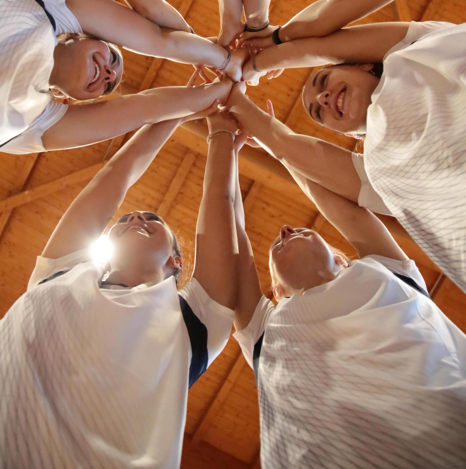 Volleyball team