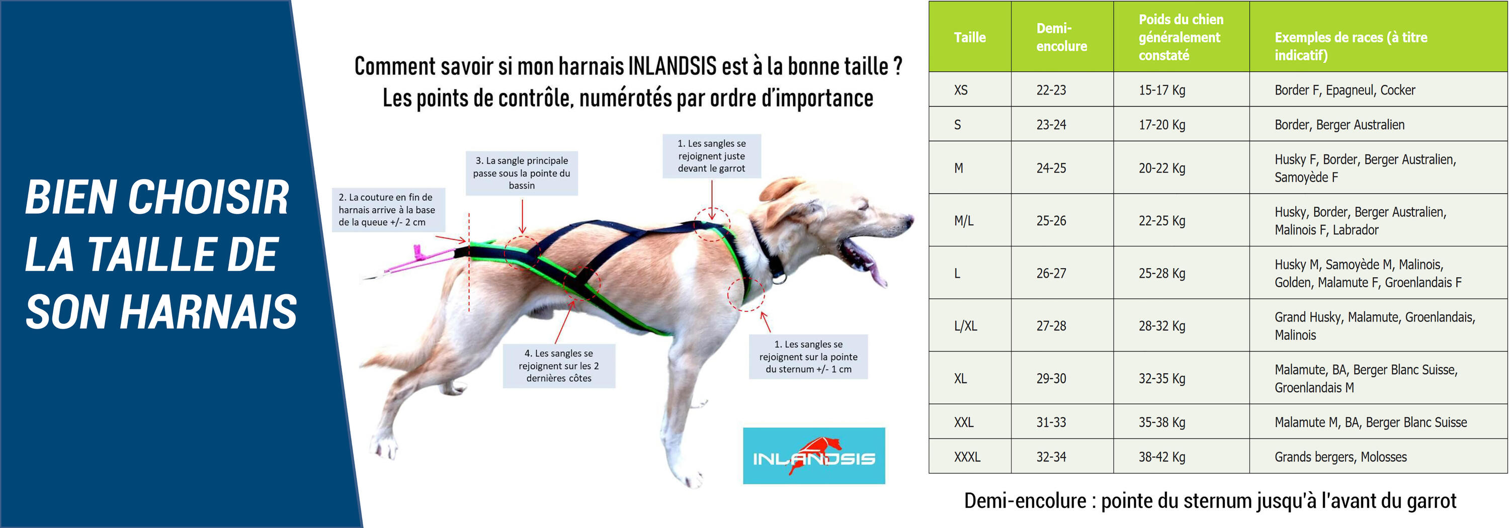 Seconde vie - Harnais de canicross et canivtt Polar Quest, bleu et noir 2/14