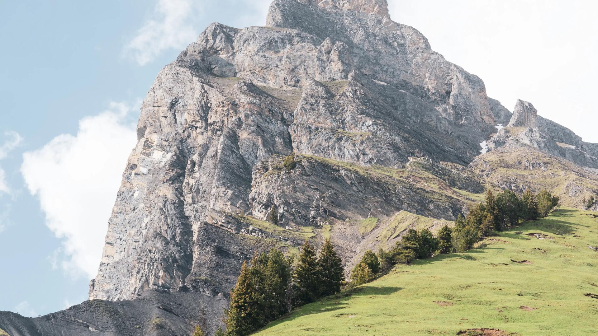 vue montagne été