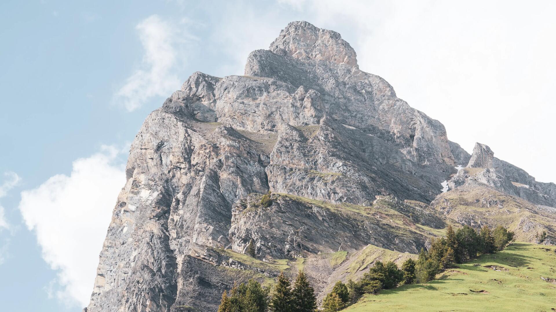 summer mountain view