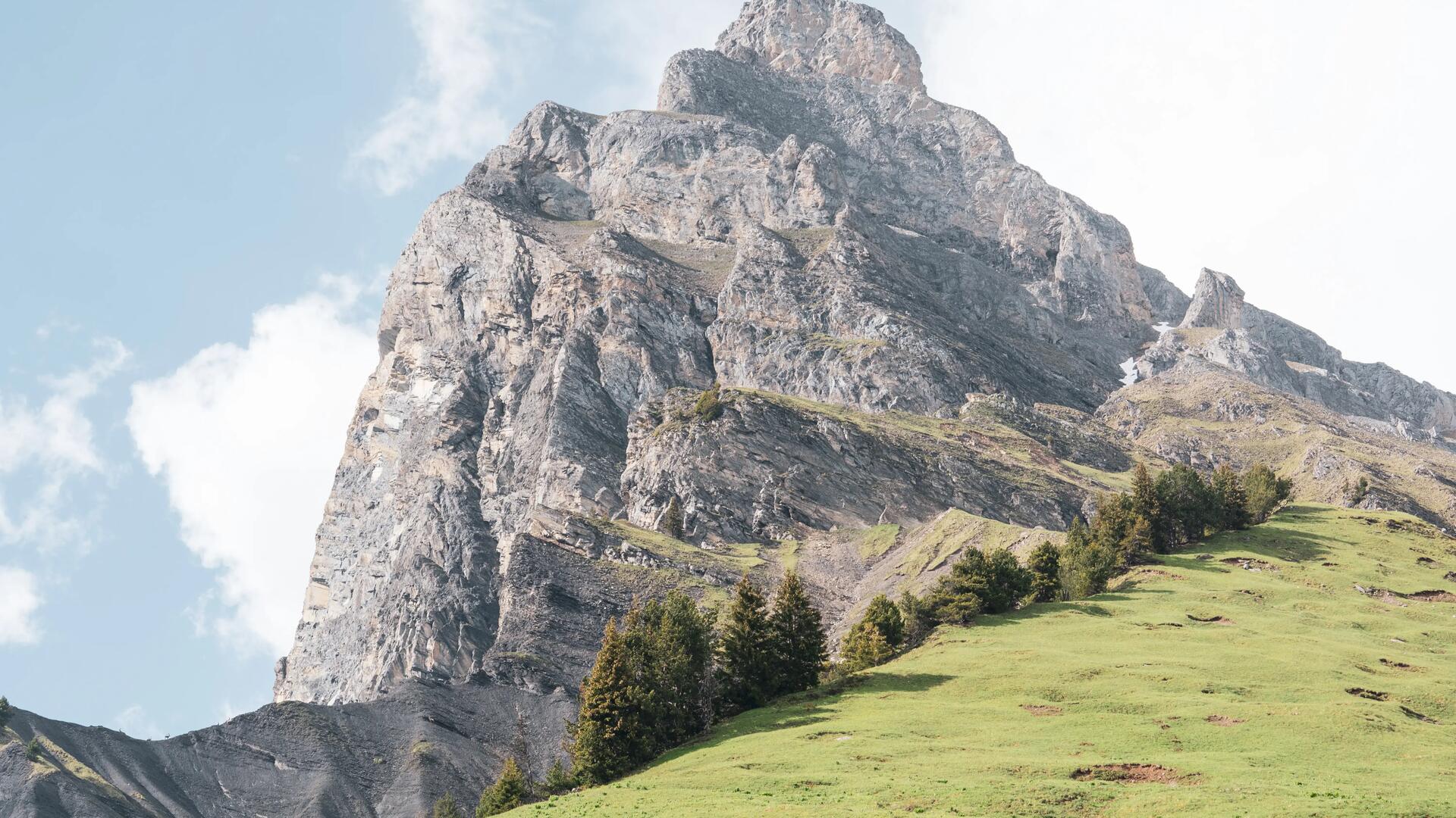 TENTES QUECHUA : Il n'a jamais été aussi facile de dormir dehors !