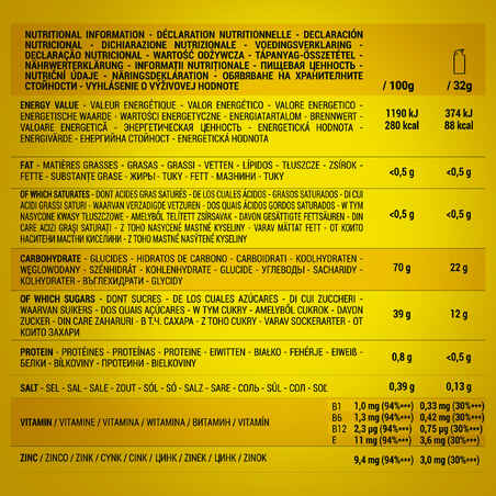 ECOSIZE LONG DISTANCE ENERGY GEL LEMON 14X32GR