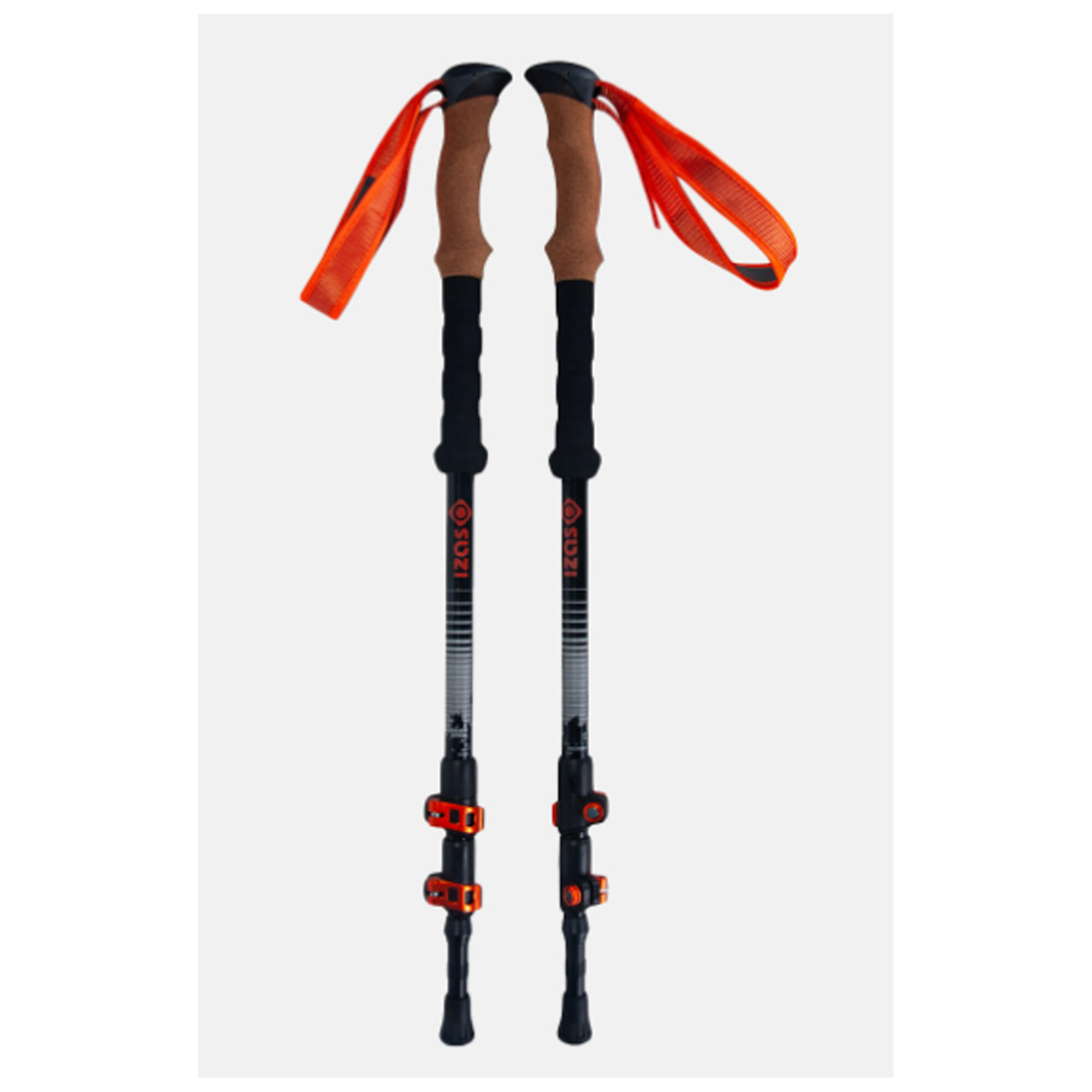 IZAS picture