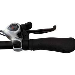 bici elettrica a pedalata assistiva fatbike 20\