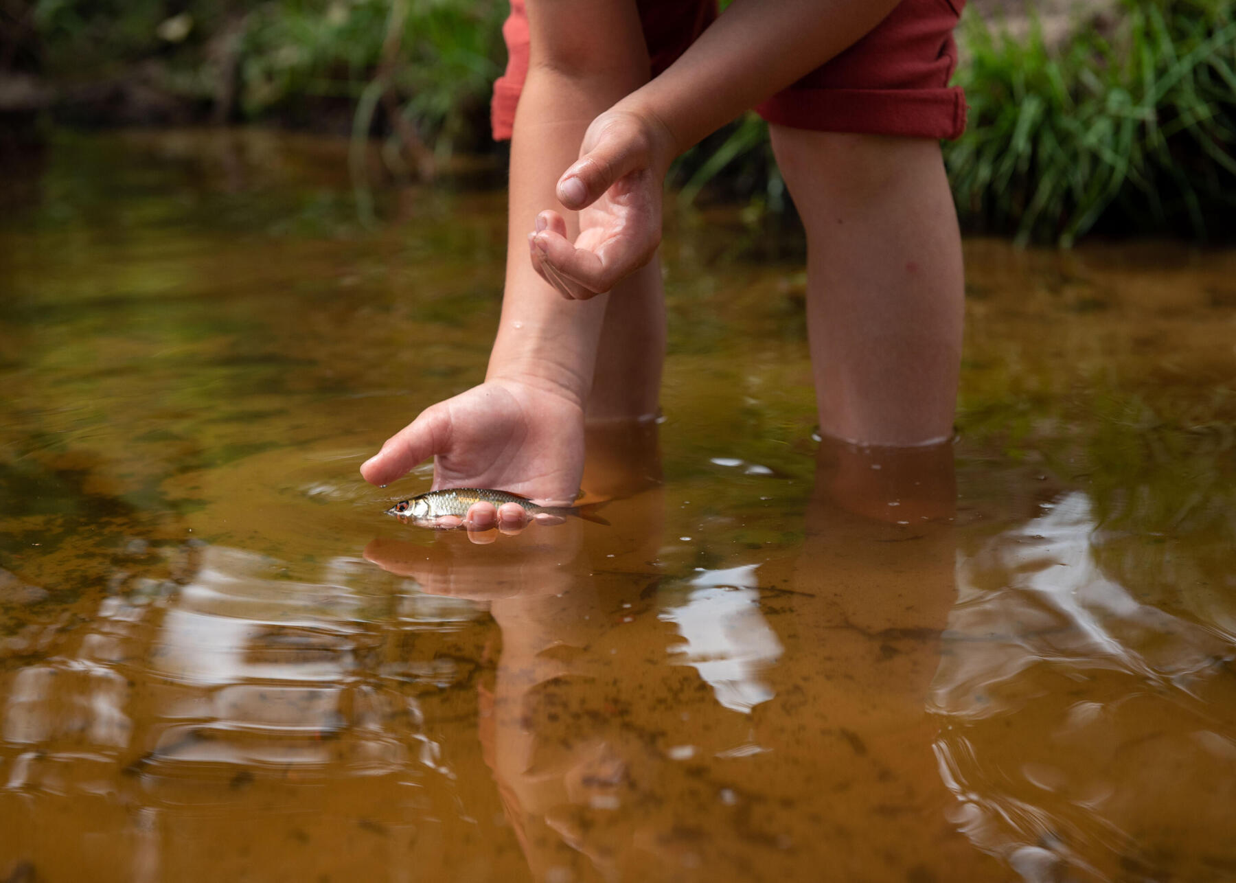 Fishing | Get your first fish - best spot, fishing kit and rules