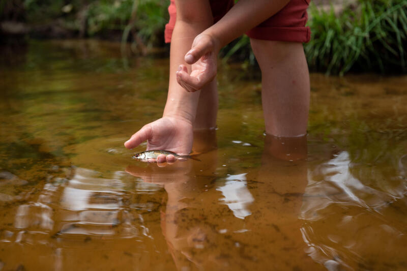 Krążki zanętowe GOOSTER FIRSTFISH