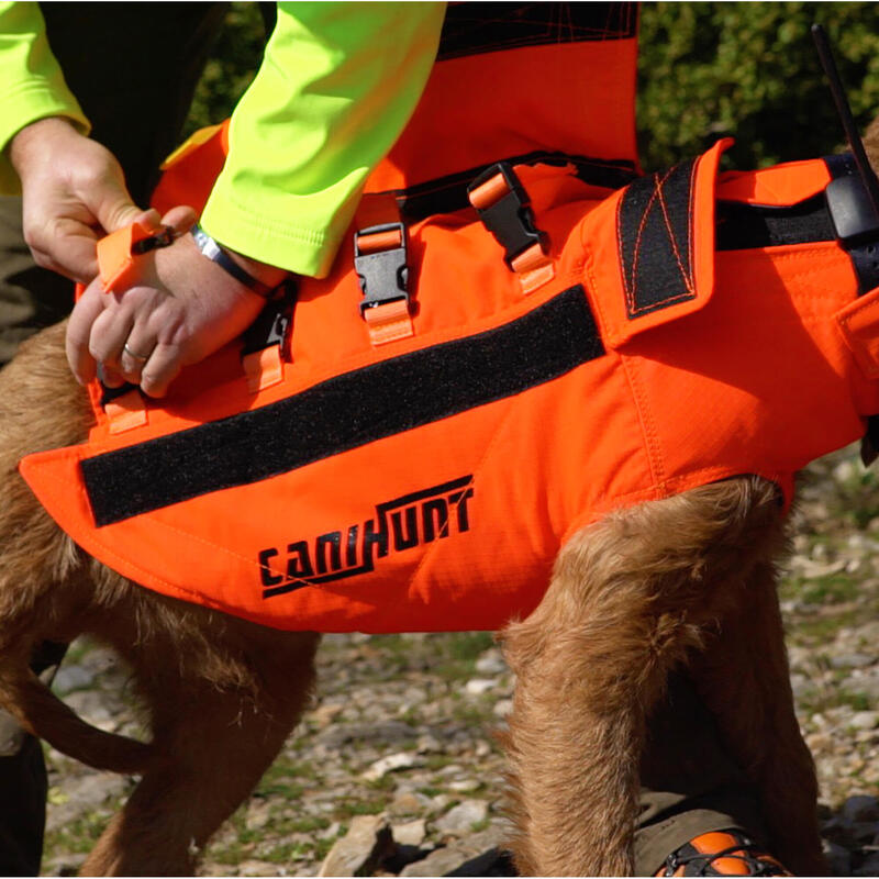 gilet de flottaison chien decathlon