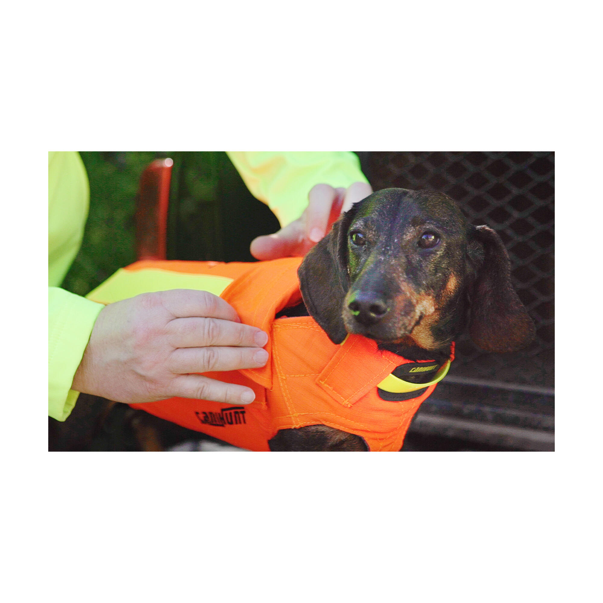 Gilet de protection pour chien Canihunt Dog Armor V3 CANIHUNT Decathlon