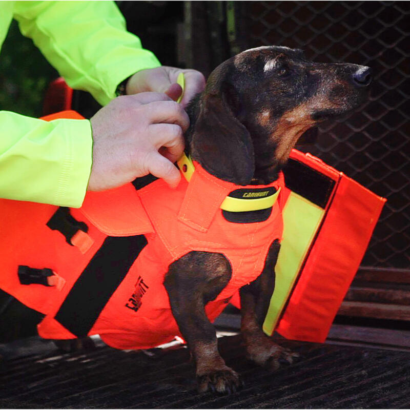 Gilet protezione cane CANIHUNT DOG ARMOR V3