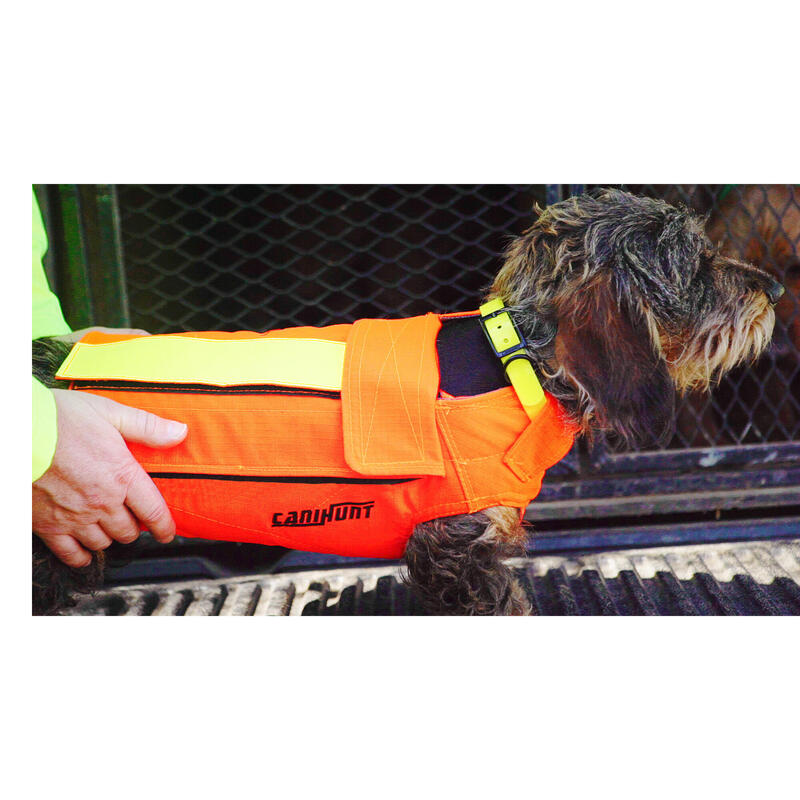 Chaleco Protector Perro Caza Polietileno Antiperforacion Canihunt Dog Armor V2