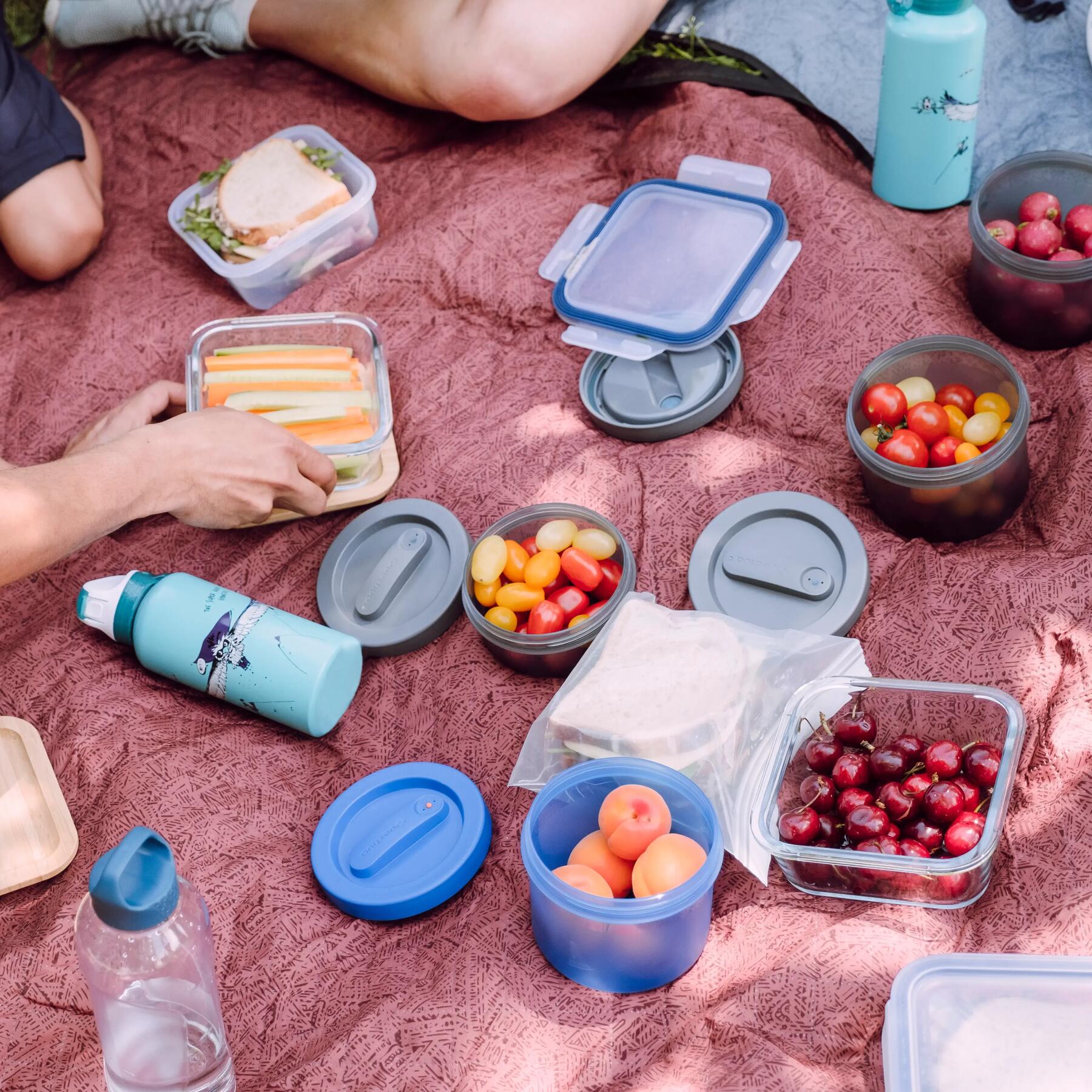 Jedzenie na plażę leżące na kocu piknikowym