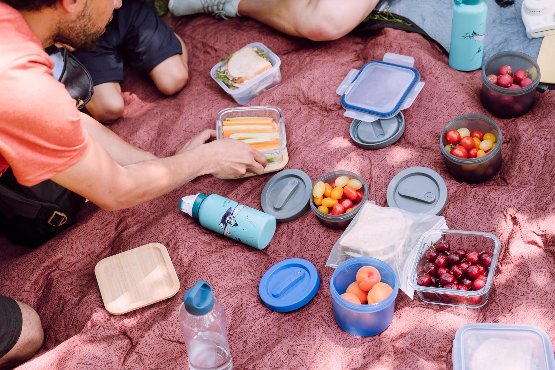 znajomi spędzający czas na dietetycznym pikniku ograniczonym do warzyw i owoców