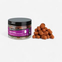 Dumbell wafter voor karpervissen Spicy Birdfood