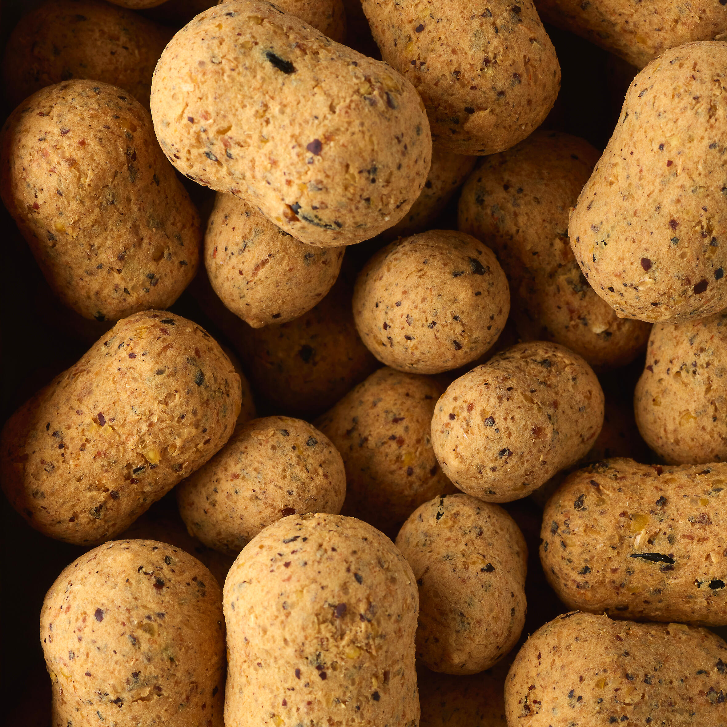 Dumbell wafter Scopex for carp fishing 2/3