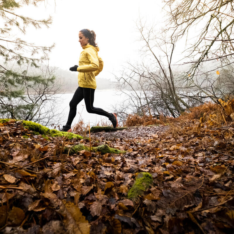 Quelle chaussure de running débutant choisir ?