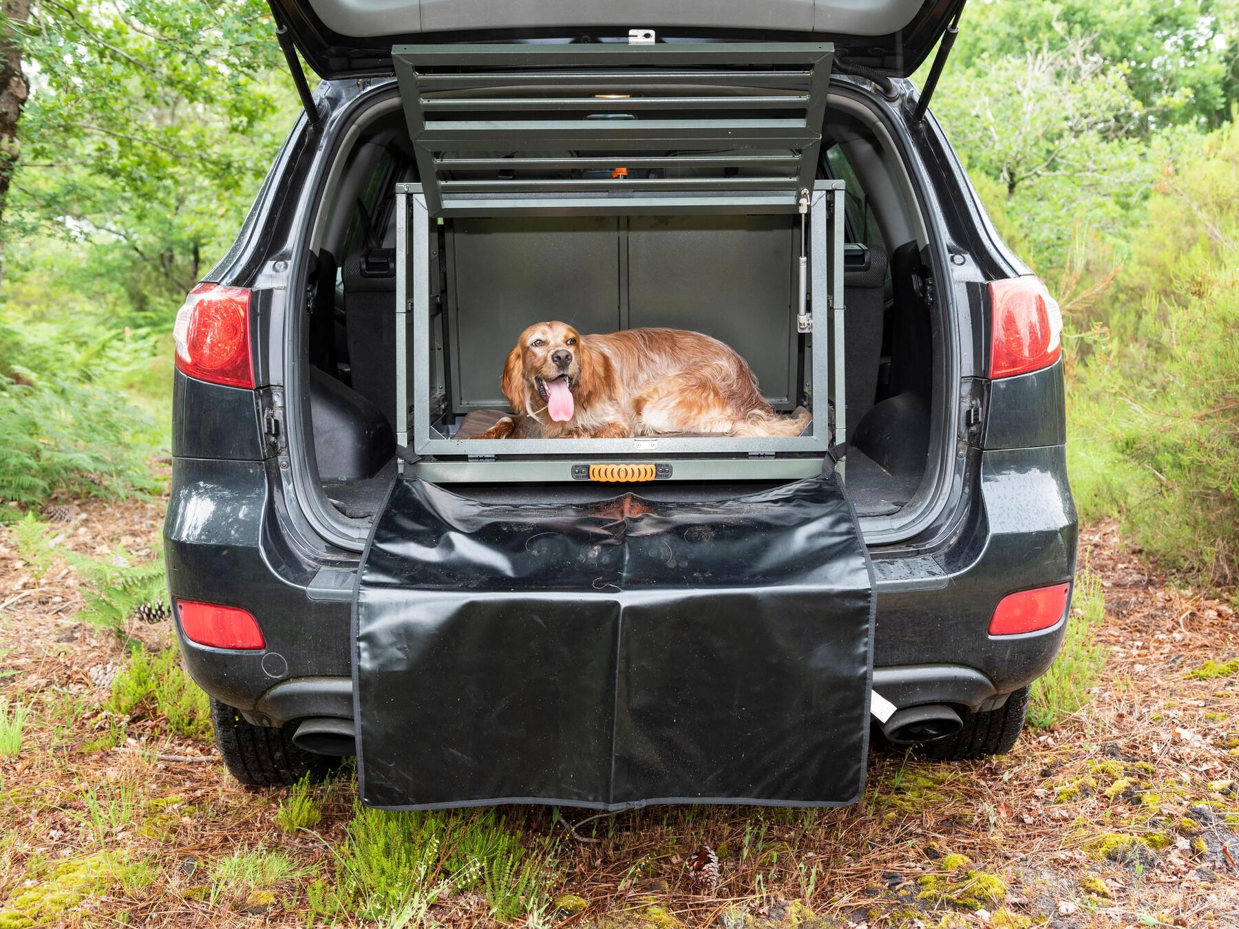 Transporter son chien de chasse en toute sécurité