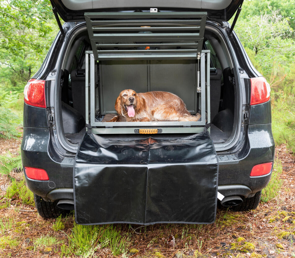 Safely transporting your hunting dog
