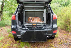 Folding Transport crate for 1 dog Aluminium 900