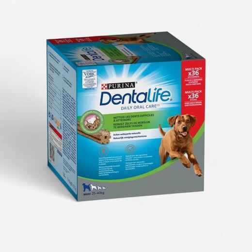 
      Uzkodas lielo suņu šķirnēm 25‒40 kg “Dentalife Purna Maxi”
  