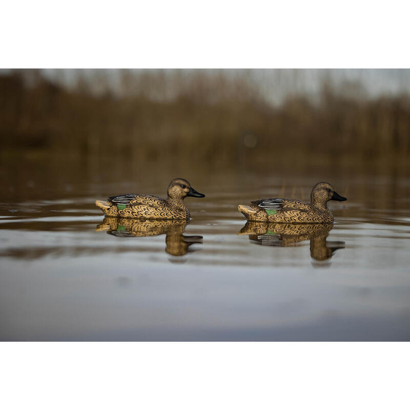 NEGAÇA DE PATO-MARRECO FÊMEA DE CAÇA 500 HD