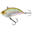 Minnow WXM VBN 50 S dorso verde