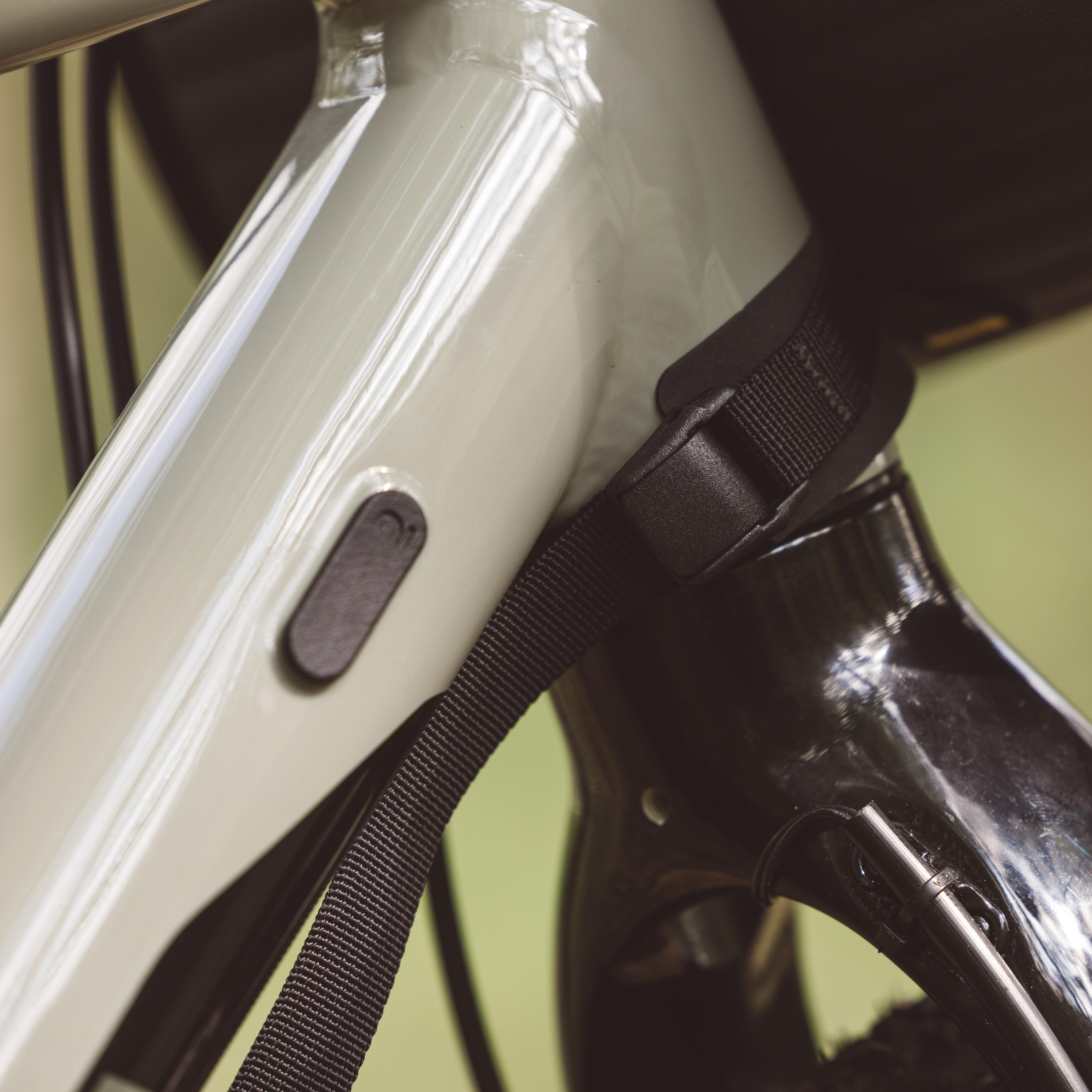 Arnes bicicleta online auto