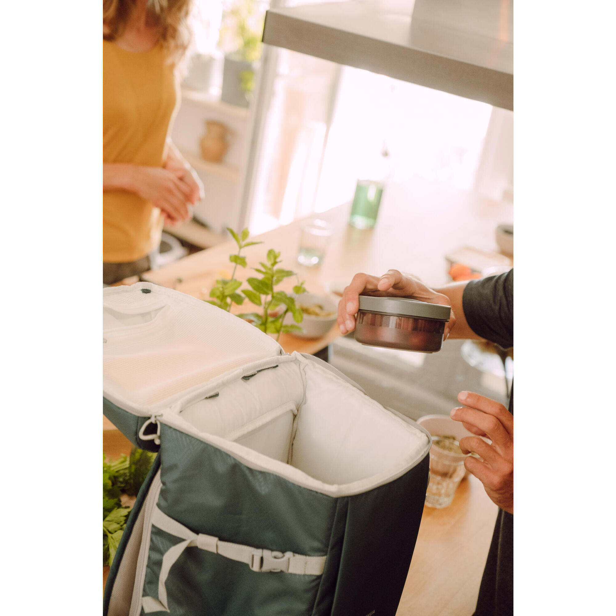 Рюкзак изотермический для походов и кемпинга 20 литров Ice compact QUECHUA