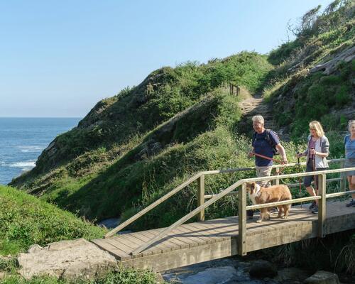 Friends and a dog walking together on a long, coastal path. One woman is using walking poles.