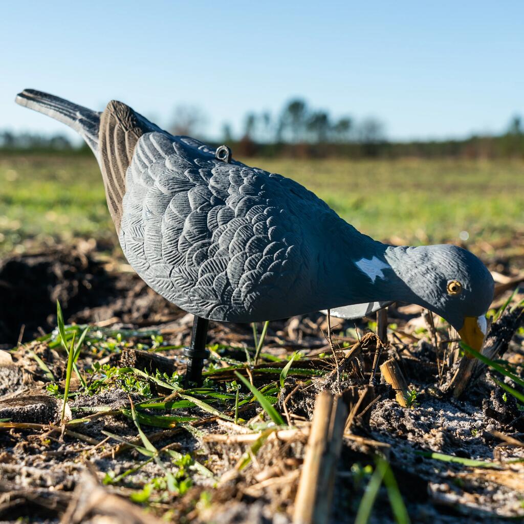 SET OF SIX 3D 100 GAME BIRD SHELL DECOYS WITH STEMS