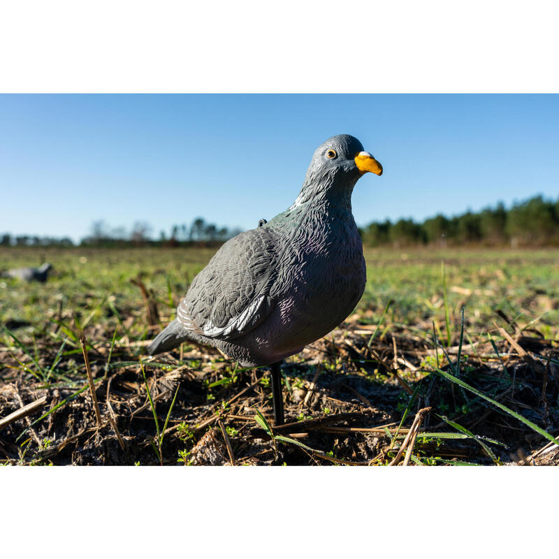 NEGAÇA DE POMBO 3D 500 PARA CAÇA