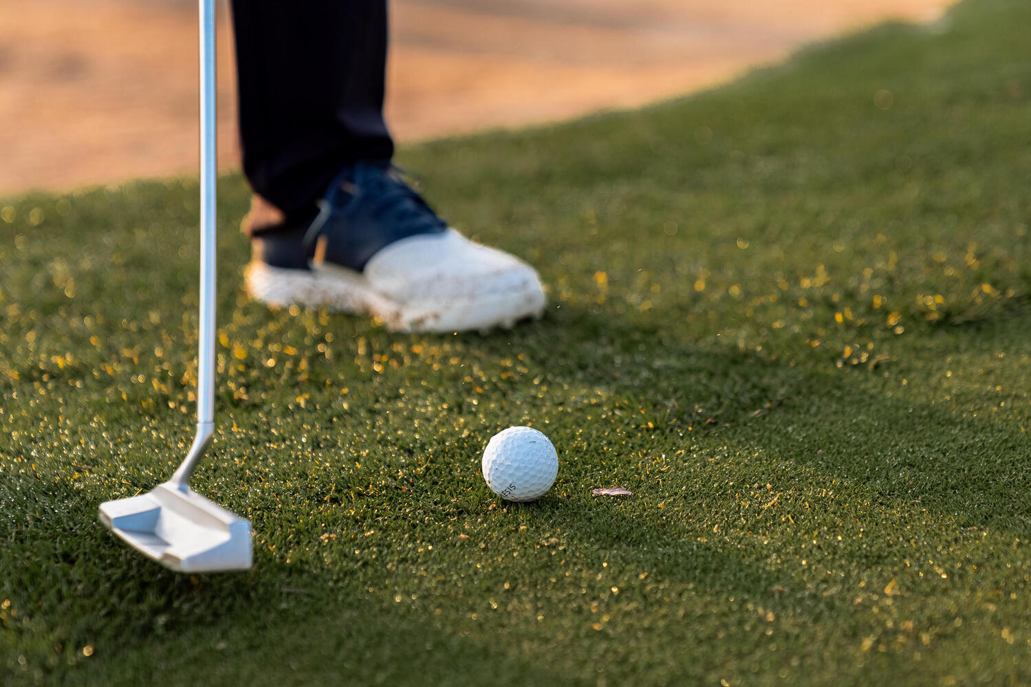 Pelota de Golf