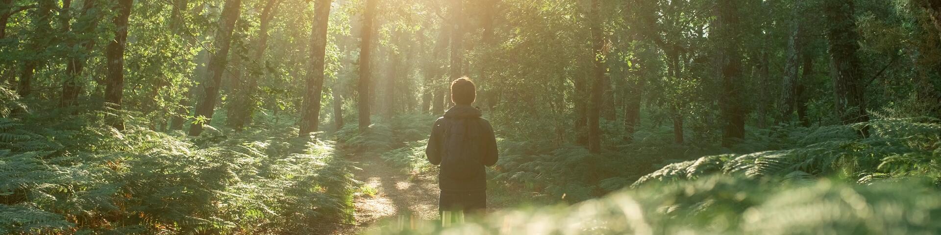 close-up image of a child's hiking shoes