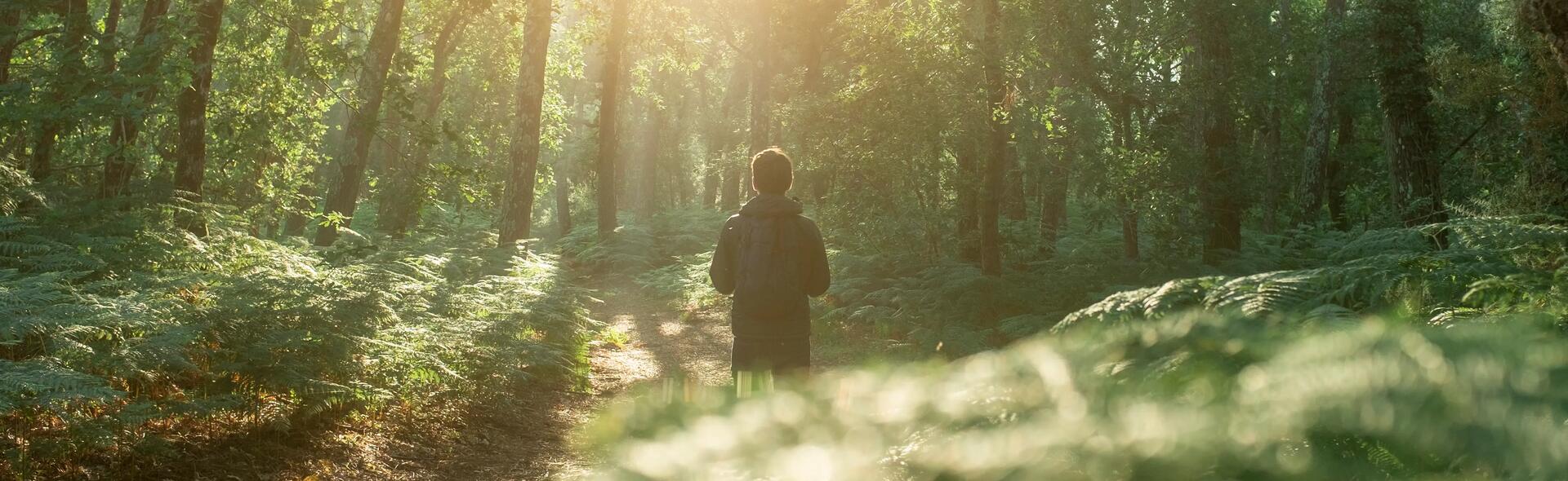 close-up image of a child's hiking shoes