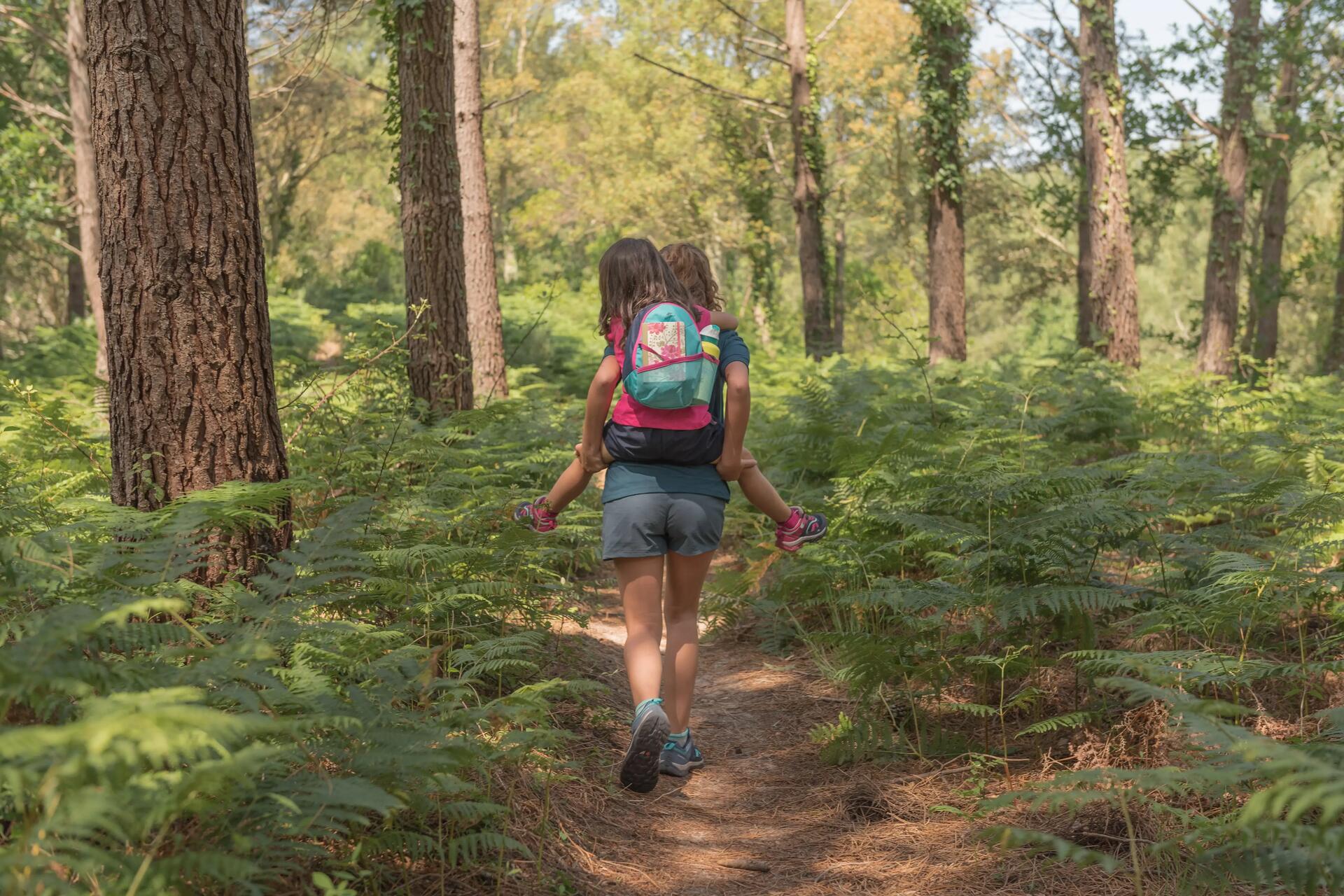 comment-choisir-chaussettes-confort-plaine-sentier-plat-forêt