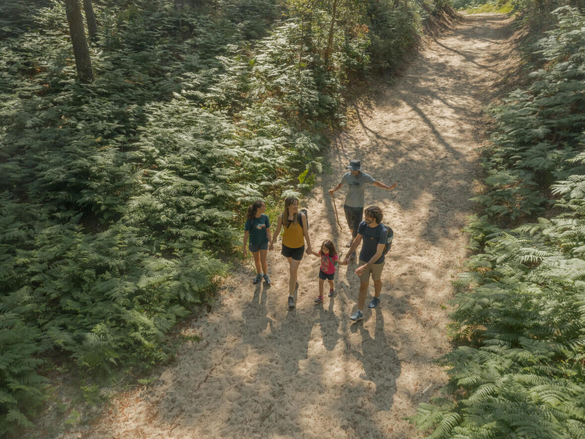 Do you know the 6 benefits of hiking?