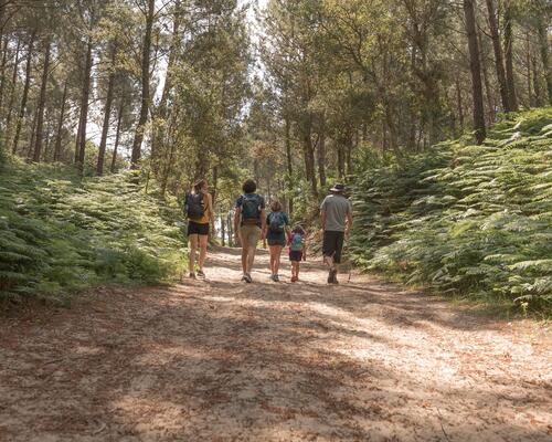 Randonnée et trekking