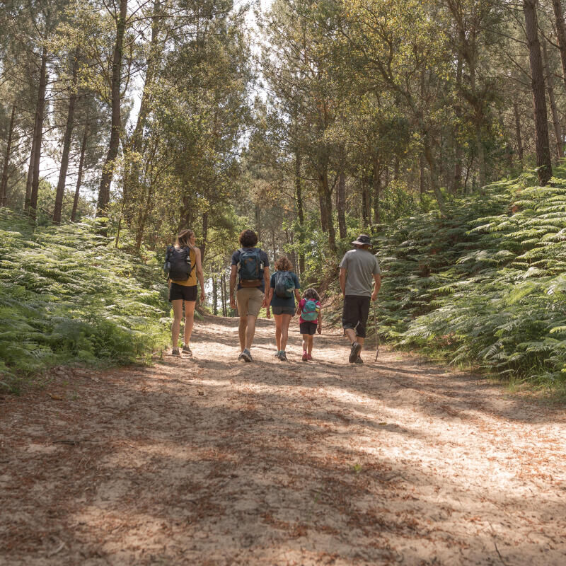 Préparer votre randonnée ou trekking