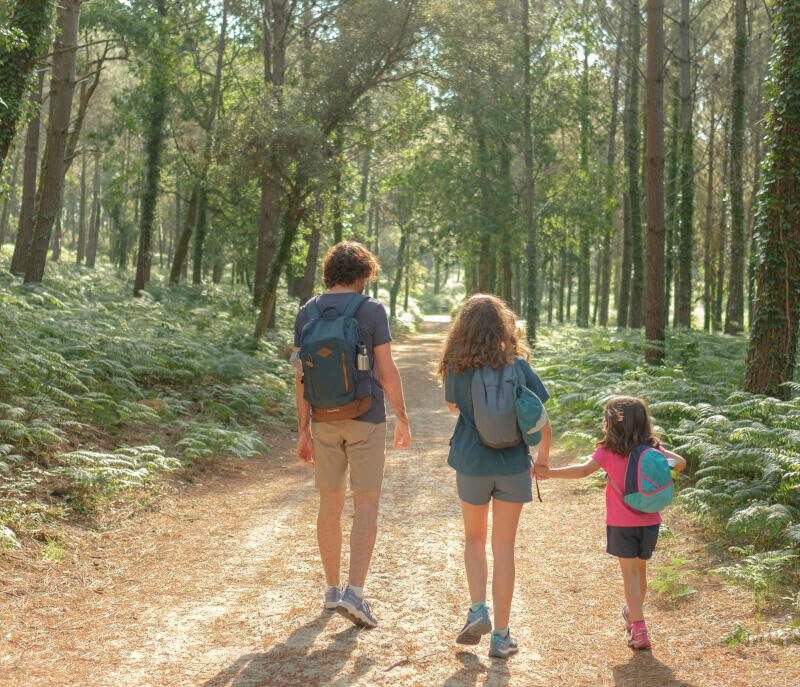 Finding your bearings when hiking: signposting on paths - title