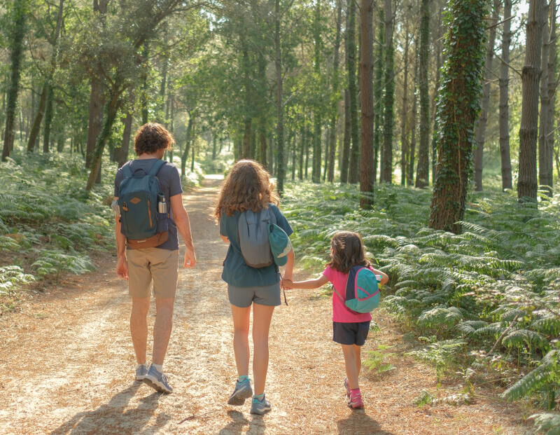 dois adultos e uma criança a caminhar na floresta decathlon
