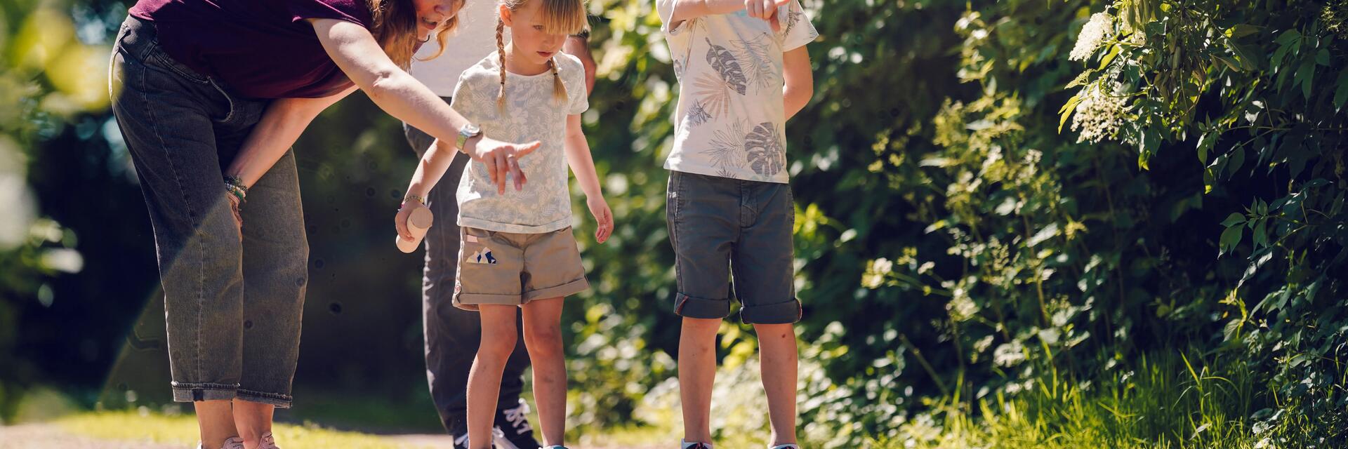 quilles-petanque-jardin