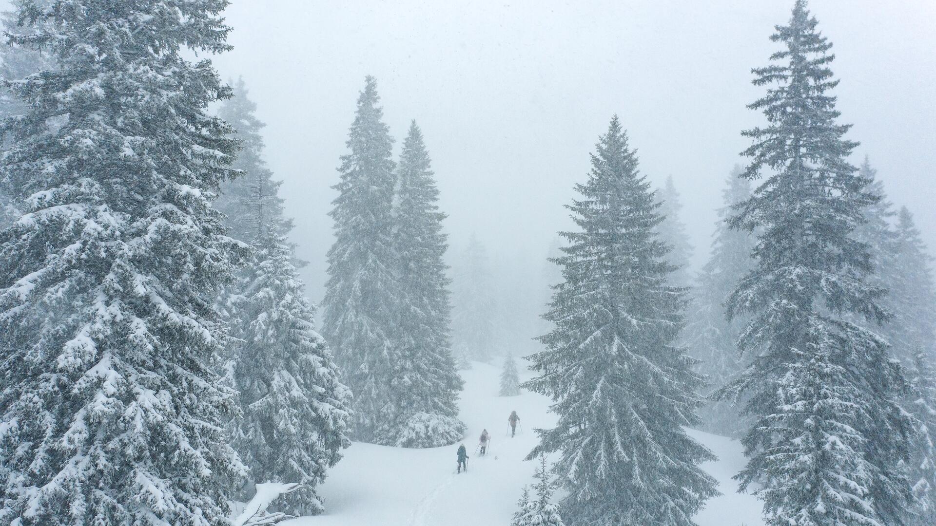 Randonnée sur neige : raquettes ou crampons neige ? 