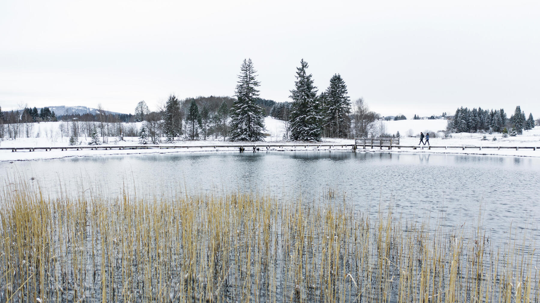 chasser sous la neige Solognac