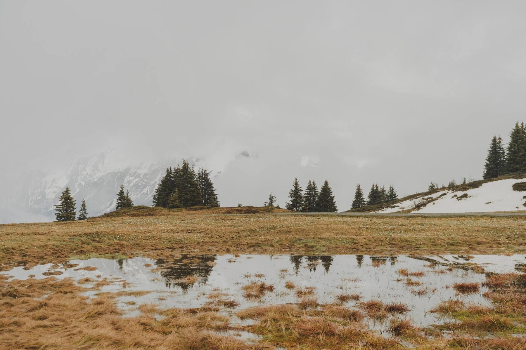 paisaje de montaña