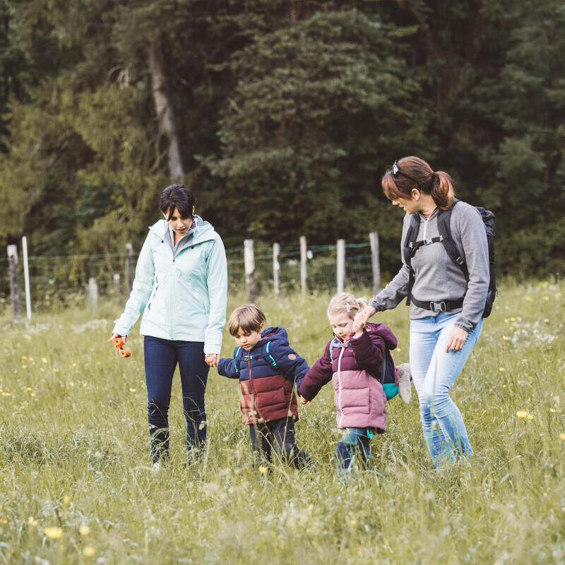 La randonnée avec bébé : notre guide