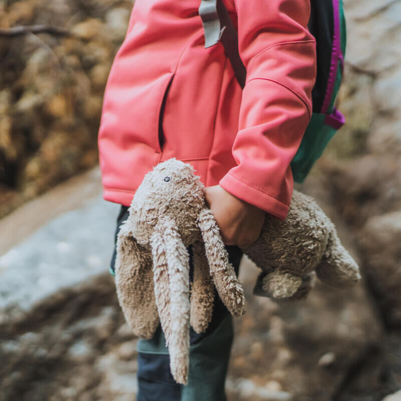 La randonnée avec bébé : notre guide