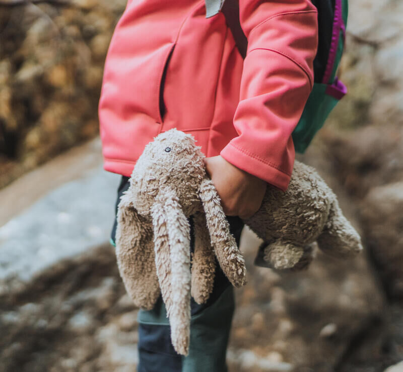 La randonnée avec bébé : notre guide
